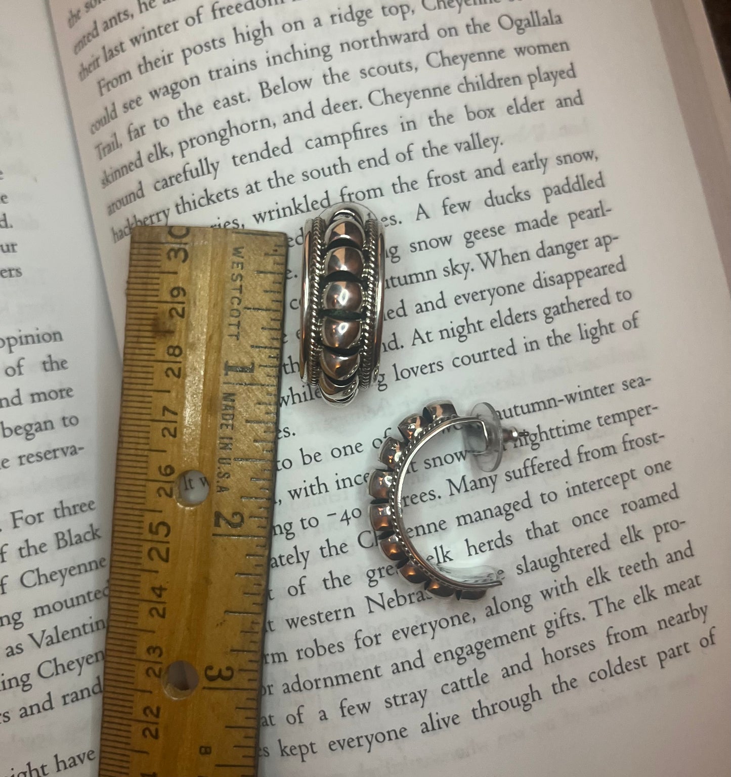 Priscilla Apache Hoop Earrings