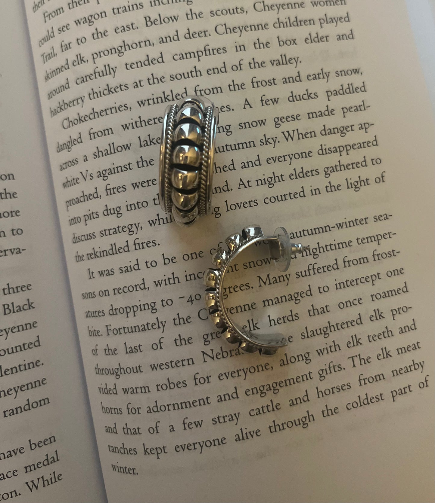 Priscilla Apache Hoop Earrings