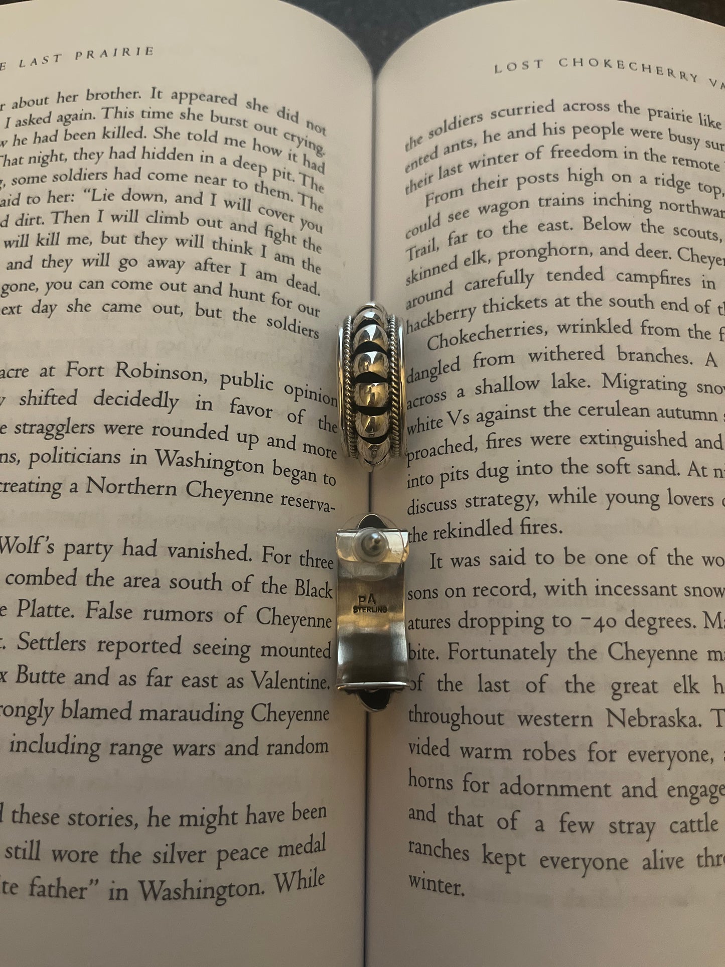 Priscilla Apache Hoop Earrings