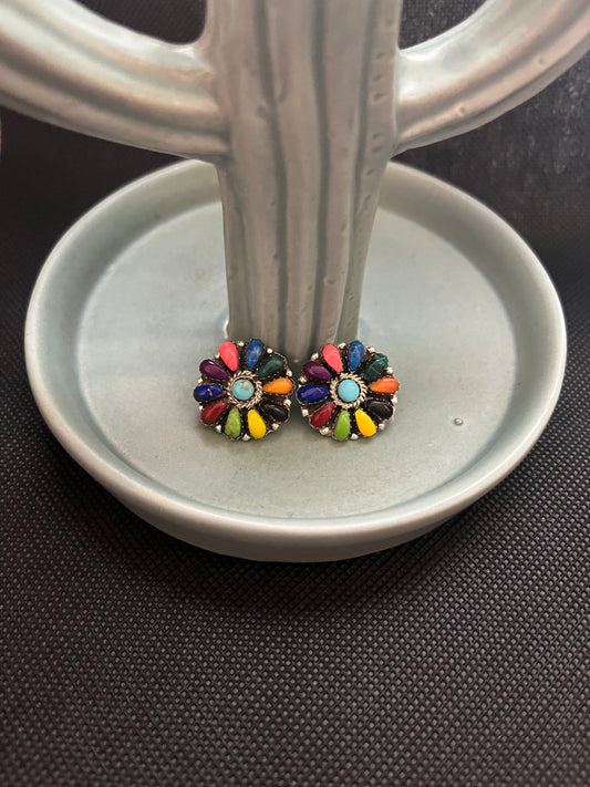 Multicolor Post Back Cluster Earring  3/4"