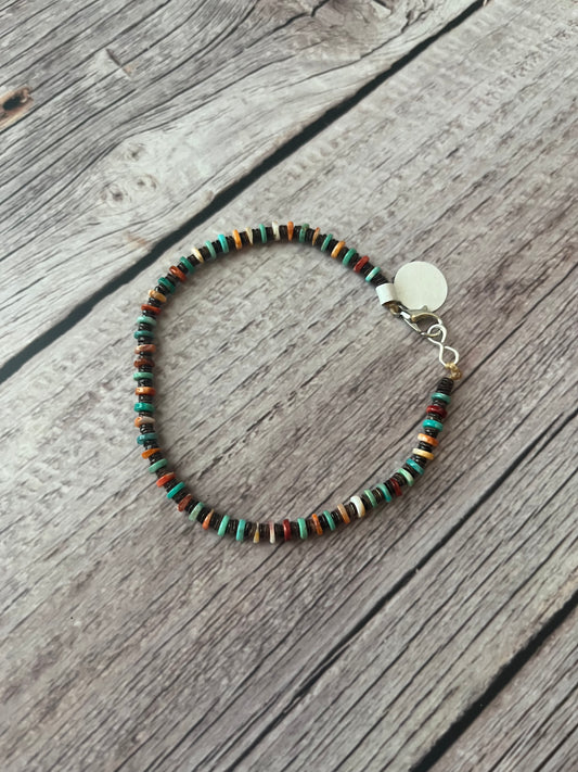 Multicolored Clasp Bracelet